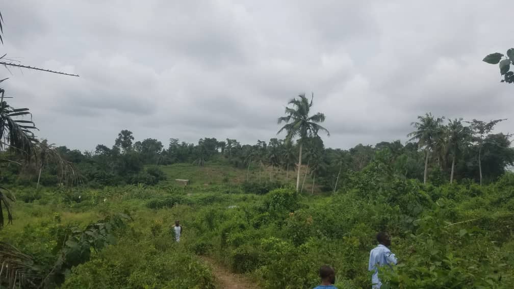 Plots of Land Diabene Takoradi For Sale DLA Investments Ghana Limited