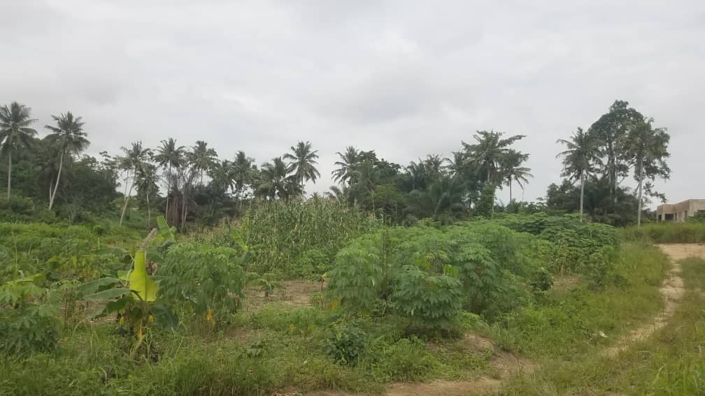 Plots of Land Diabene Takoradi For Sale DLA Investments Ghana Limited
