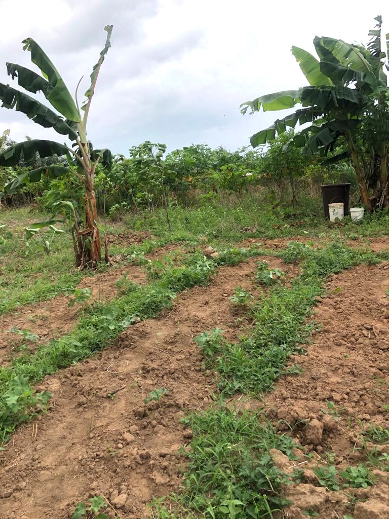 One (1) Acre Parcel Of Land Airport RidgeTakoradi For Sale DLA